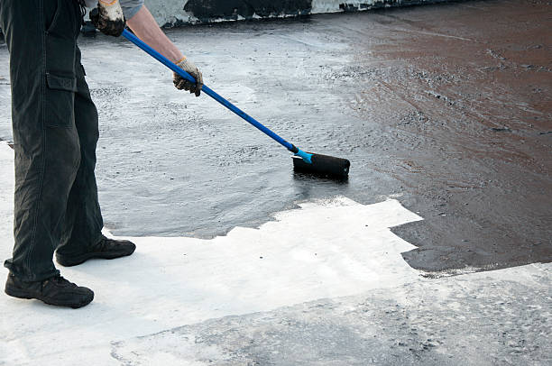 Best Concrete Driveway Repair Near Me  in Knob Noster, MO